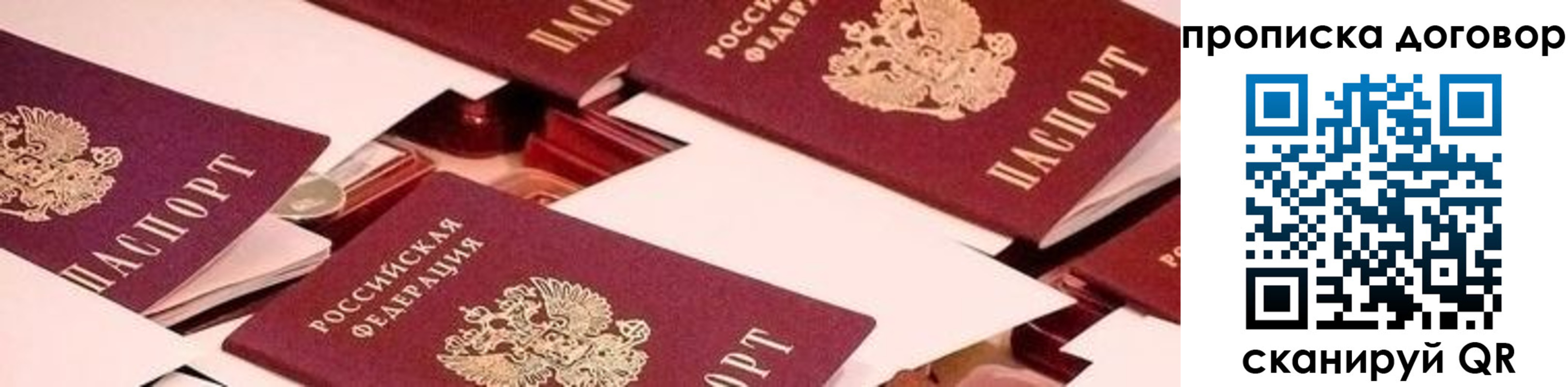 прописка для школы в Кингисеппе